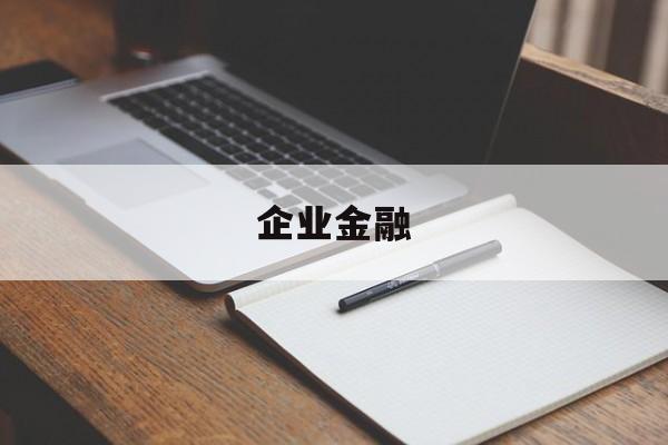 企业金融(企业金融化是什么意思)